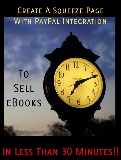 Product picture Squeeze Page with Paypal Integration